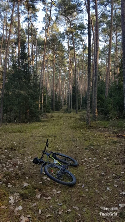 i.....a - 359290 - 50 = 359240

Przerzutka zamarzła xD Poza tym w końcu przychodzą ...