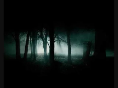 coolface - Ludique - Lost in the Woods

#muzyka #ambient #minimal #idm #coolfacemus...