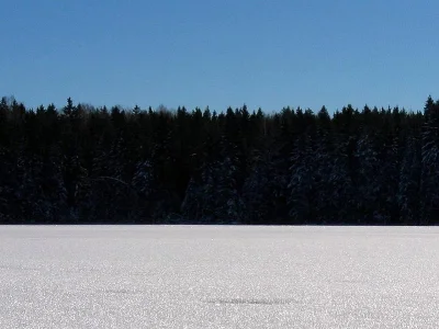 m.....1 - Tutaj na zdjęciu flaga Estonii występująca w naturze.