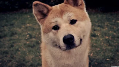 p.....7 - mój przyjaciel hachiko(╯︵╰,)



kurna co za film. popłakałem się jak ostatn...