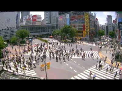 RybiKremik - Skrzyżowanie w Tokio, dzielnica Shibuya (LIVE)
#tokio #japonia #shibuya...