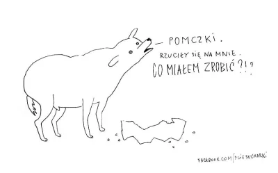 paramedic44 - Już jutro :3

#smiesznypiesek #psiesucharki #ponczki #dieta #slodycze...