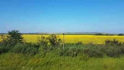 szczypek45 - @brylek: 
To zdjęcie akurat jest zrobione z pociągu podczas jazdy.