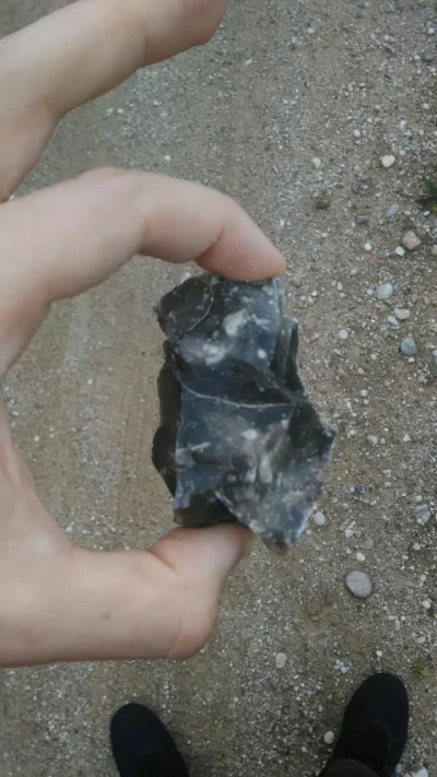 p.....y - Otóż na drodze polnej znalazłem taki oto kamień
Ktoś wie co to za kamyczek...