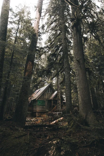 Lunaotic - Cabin in the woods (｡◕‿‿◕｡)
#tapetyluny #fotografia #earthporn