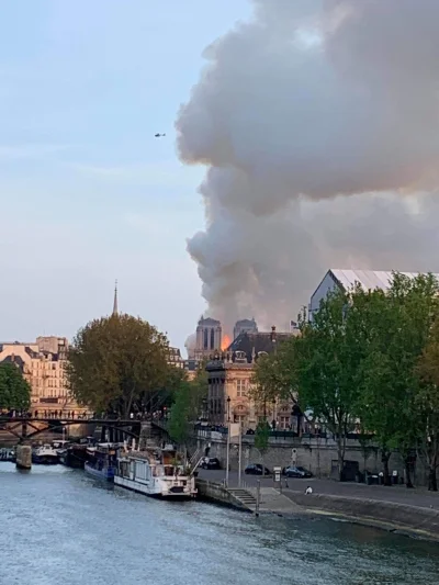 psonaczek - Katedra Notre Dame płonie! #breakingnews kolejny atak?