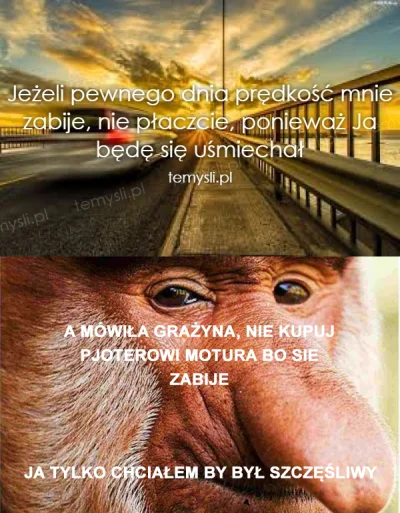 YodaMonster - Takie oto meme mi się przyśniło
#feels #nosaczsundajski #nosaczfeeldaj...