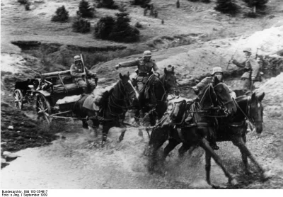 HaHard - Konie wykorzystywane przez Niemców podczas ataku na Polskę (Fall Weiss) w 19...