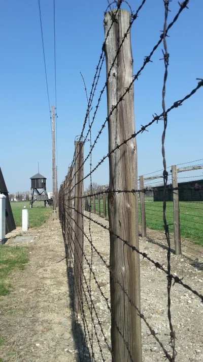 EnderWiggin - #lublin #majdanek #zydzi

A to z rana. Turystycznie. Czy ktoś będzie mi...