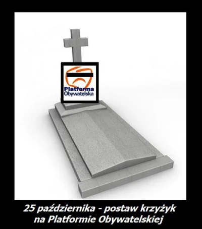 castaneis - Zgodnie z poradą pana Kamińskiego, stawiamy krzyżyk na PO (;

#polska #...