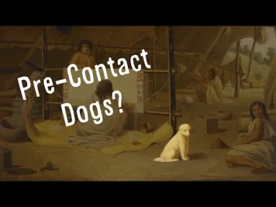 Trajforce - What Happened to the Pre-Contact Dogs?

#pies #gruparatowaniapoziomu #b...