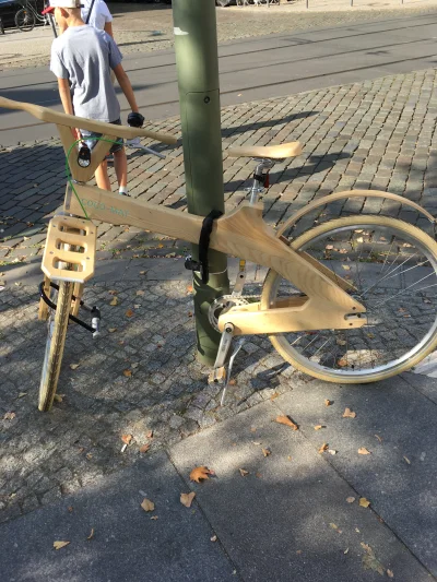 ziliki - Taki tam drewniany rower.
