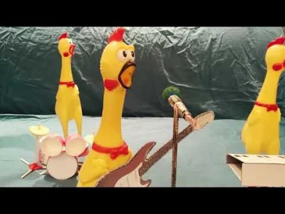 starnak - #spiew #kurczaki #muza #gowowpis #zespolmuzyczny
