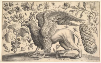 myrmekochoria - Wenceslaus Hollar - Gryf, XVII wiek. Było kiedyś w linku przy okazji ...