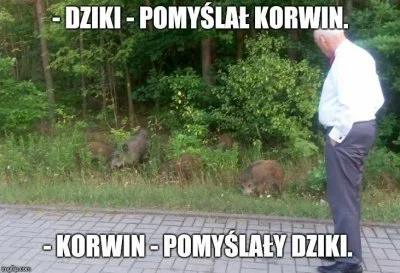 Ksiaze_Iktorn - #heheszki #humorobrazkowy #korwin #dziki