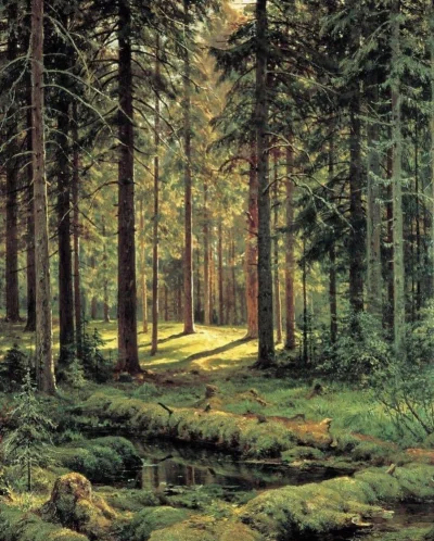 m.....f - Ivan Shishkin „Coniferous Forest. Sunny Day” #malarstwo #sztuka #realizm