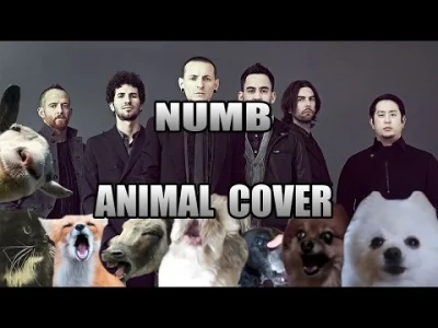 marTusia - Numb - Linkin Park
Zwierzęco ( ͡°( ͡° ͜ʖ( ͡° ͜ʖ ͡°)ʖ ͡°) ͡°)
#muzyka #sl...