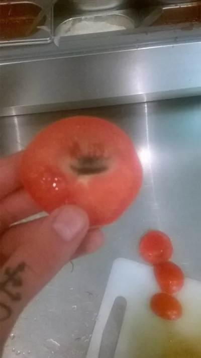Slowik_ - Nawiedził Cię Pleśniowy Miś na pomidorze, zaplusuj ten wpis w ciągu 10 seku...