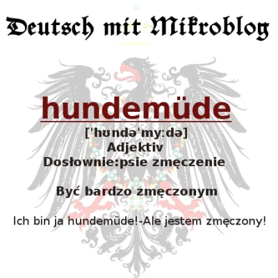 K.....m - Zainteresowanych językiem Goethego zapraszam na #niemieckizmirko 

#niemi...
