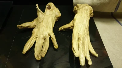 4ntymateria - Rękawiczki z ludzkiej skóry, muzeum II WŚ w Kijowie
