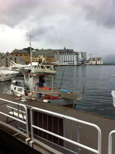 i.....d - Deszczyk pada, słońce świeci, a ja po podróży łódką zwiedzam sobie Ålesund ...