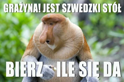czasnawykopki - #heheszki #polak #humorobrazkowy