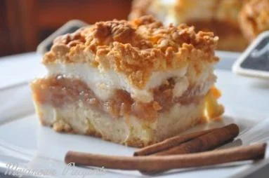 puddin - A na ciasto z jabłkami to mówicie szarlotka czy jabłecznik? #kiciochpyta