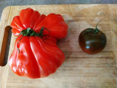 Osiedlowydiler - Właśnie sobie uświadomiłem że ludzie to nawet pomidory potrafią #!$%...