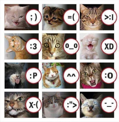 JazzBlurr - A jednak, to koty wymyśliły emotikony! xD



#koty #kot #heheszki #humor