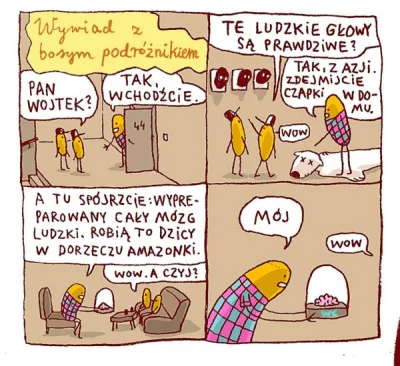 Zdejm_Kapelusz - #humorobrazkowy #pasjonaciubogiegozartu #podroze