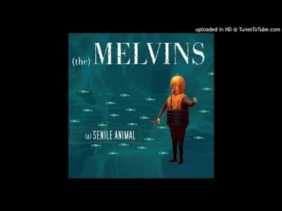 Jaww - Melvins-A History Of Bad Men

#muzyka #grunge #melvins #sludgemetal