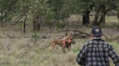 Jasak - To było ale jest tak dobre...
#heheszki #humorobrazkowy