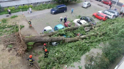 M.....a - Mireczki #warszawa ktoś z Was mieszka przy ulicy Kameralnej?
Jeśli tak to ...