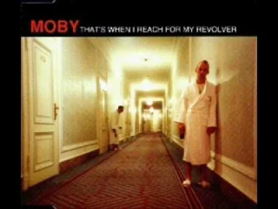 paramite - moby - that's when i reach for my revolver - slow mix - unreleased
Uwielb...