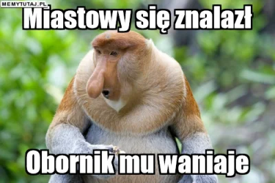 PawelW124 - #humor #heheszki #polak #nosacz #nosaczsundajski #bezbek #pasjonaciubogie...