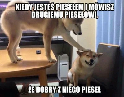 w.....a - Czekam na nocna z wrzucaniem wpisów bo nie umiem tagowac. Yolo ;)