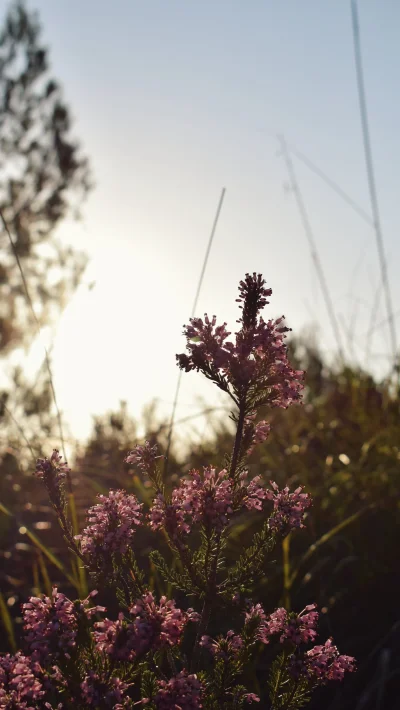 nilnisibene - #mojezdjecie #fotografia