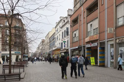 loczyn - @loczyn: gdzie biały jest gatunkiem wymarłym i gdzie służby nie zalecają wyc...