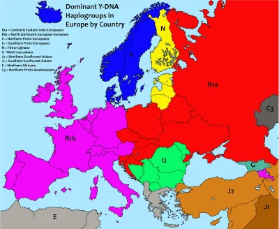 johanlaidoner - Dominująca haplogrupa w populacji kraju: