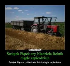 mankitsu9 - Świątek Piątek czy Niedziela rolnik ciągle zapierdziela #grazynacore #rol...