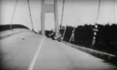 anadyomenel - @myrmekochoria: Wytrzymałość mostu nad Cieśniną Tacoma w USA (stan Wasz...