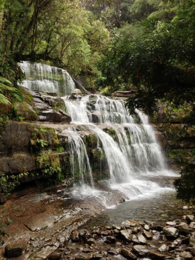 n.....r - > Liffey Falls, Tasmania, Australia



#earthporn #australia #wodospady