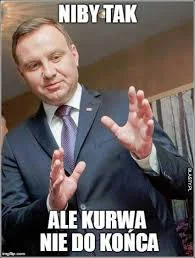 misiasio - @KolejnyWykopowyJanusz: