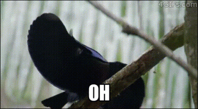 troloking - @chrupek18: