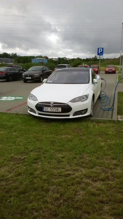 potwur - taka sytuacja pod moją pracą 
#tesla #motoryzacja #pracbaza #it #bogactwo