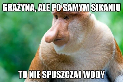 zezz - #heheszki #humorobrazkowy #polak #pasjonaciubogiegozartu