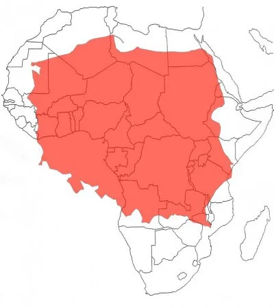 tutirutu - Nałożona mapa Wielkiej Polski na tle Afryki #ciekawostki #geografia