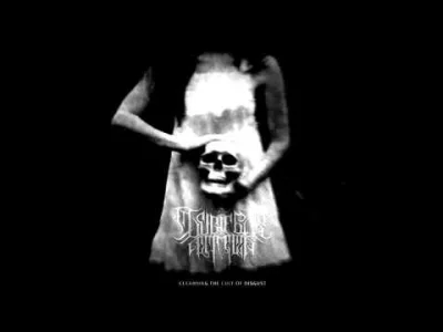 NieBojSieZmianNaGorsze - #szesciumuzyczniewspanialych #postblackmetal #dobrebopolskie...