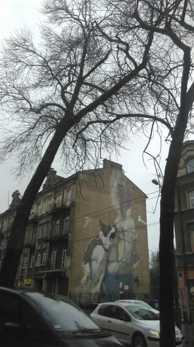 Tobiass - Lublin to miasto w Polsce które ma najlepsze murale.
#lublin #polska #mural