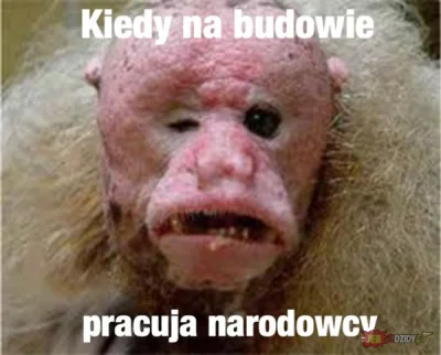 A.....y - #ukrainiec #humorobrazkowy #narodowcy 
Kurła ja ne podumał